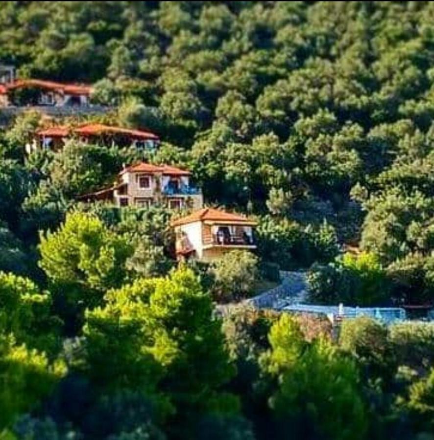 Skiathos Garden Cottages ภายนอก รูปภาพ